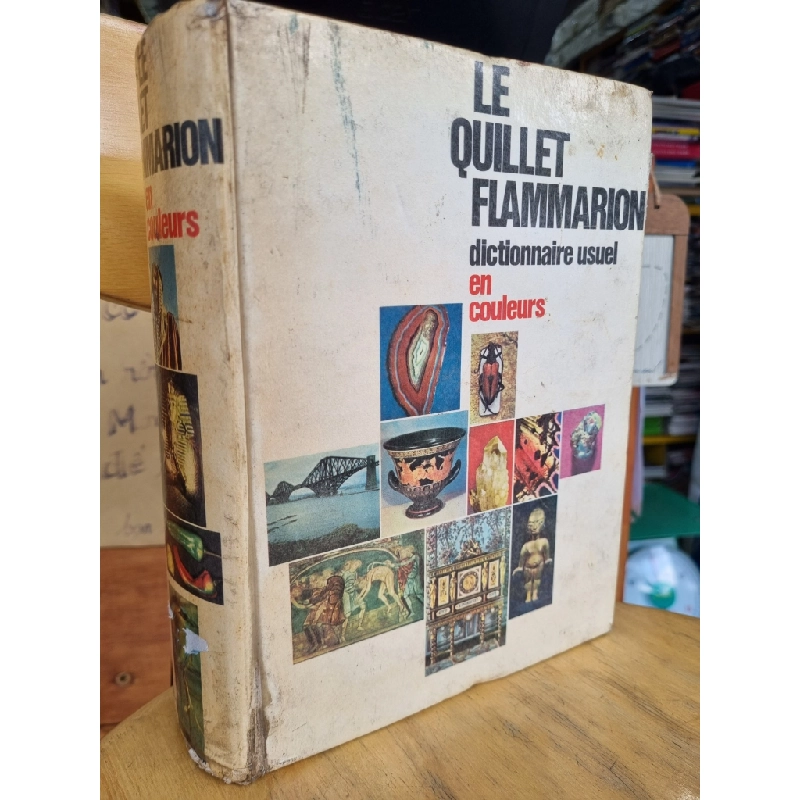 LE QUILLET FLAMMARION : DICTIONNAIRE USUEL EN COULEURS 120331