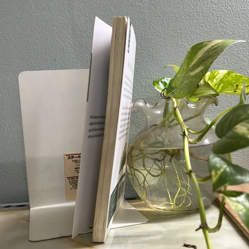 Quản lý tài chính theo phong cách người nhật 752111