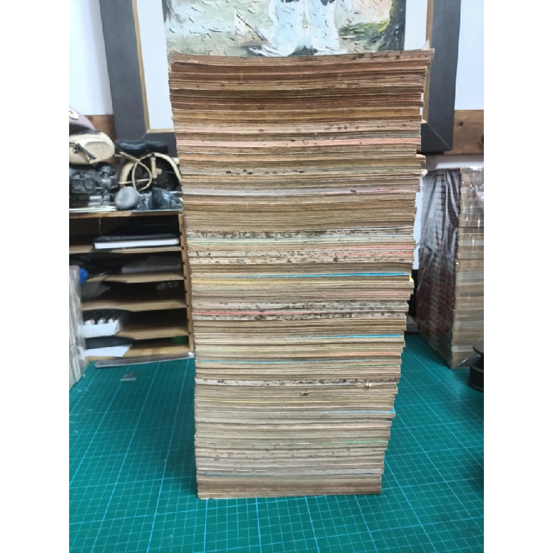 TRUYỆN TRANH TIỂU THƯ NHU ĐẠO 295842