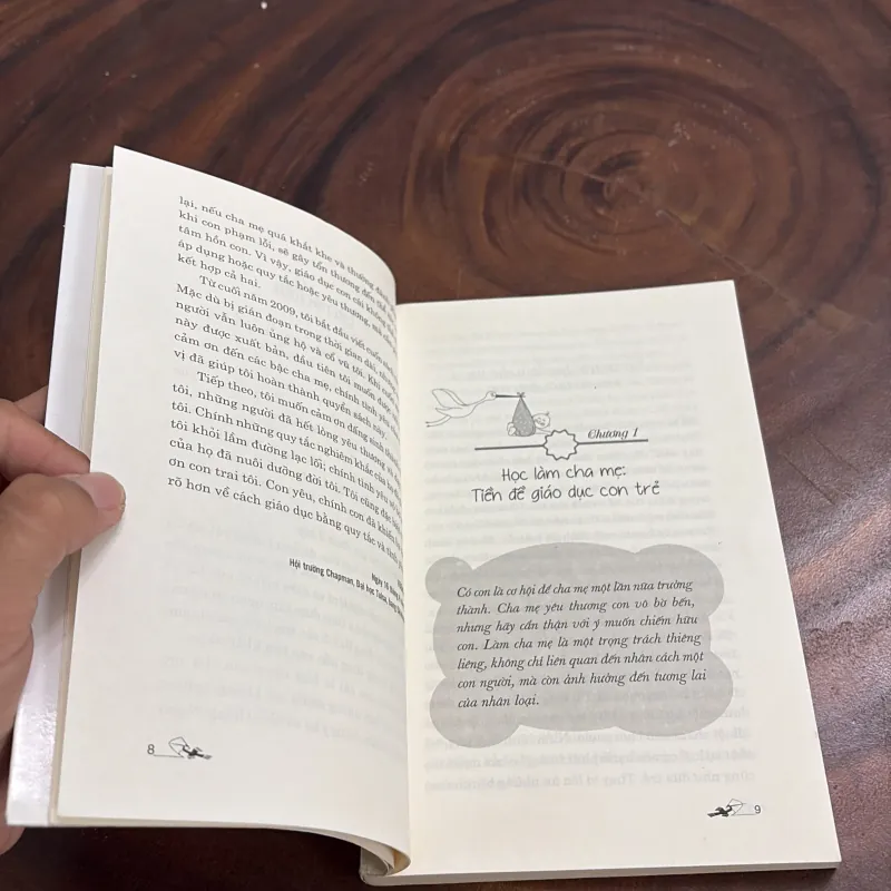 II Dạy Con: Dạy Con Bằng Quy Tắc Và Tình Yêu - Vương Đào - 2016 990716