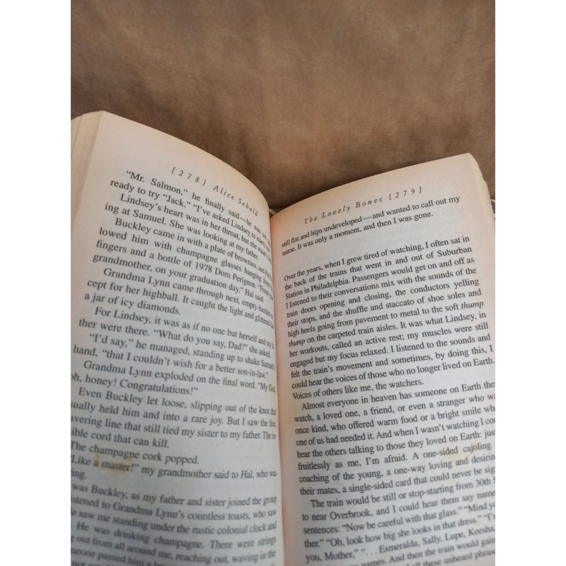 The lovely bones - Alice Sebold - sách ngoại văn đã qua sử dụng 72544