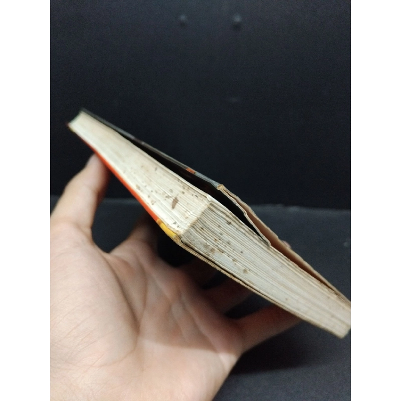 Toàn cảnh cung đình Trung Hoa mới 70% ố vàng 1998 HCM2207 Nguyễn Tôn Nhan LỊCH SỬ - CHÍNH TRỊ - TRIẾT HỌC 916183