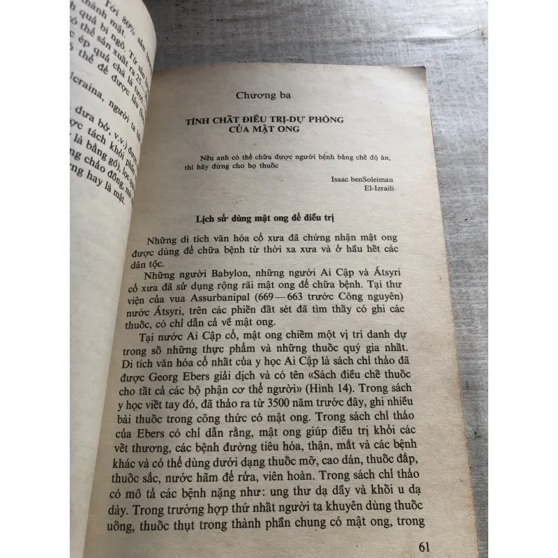 Con ong - dược sĩ có cánh  786810