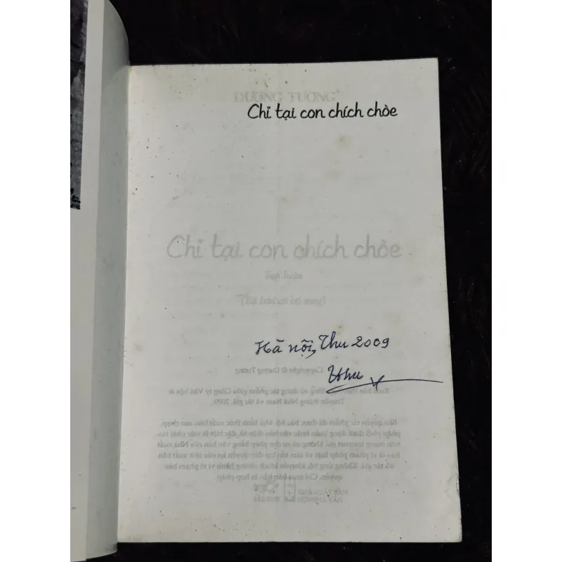 Chỉ tại con chim chích choè 933806