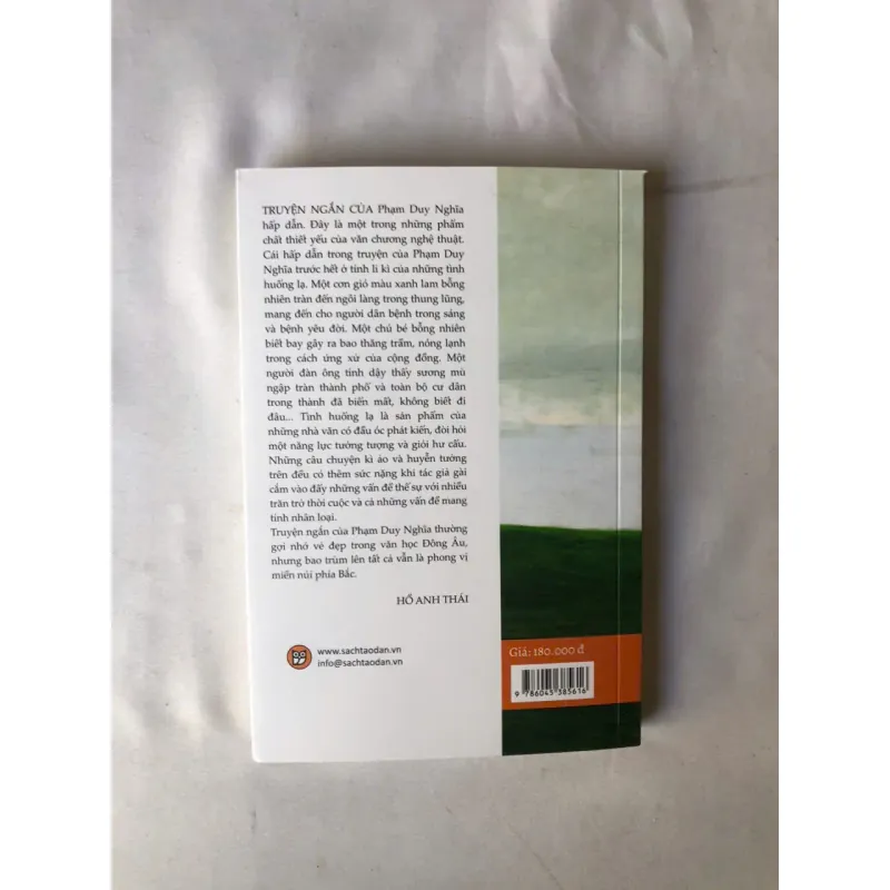 Người Bay Trong Gió Xanh - Phạm Duy Nghĩa 976135