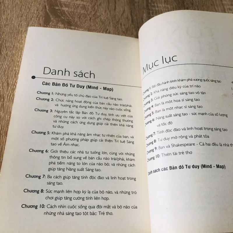 SỨC MẠNH CỦA TRÍ TUỆ SÁNG TẠOo 1020316