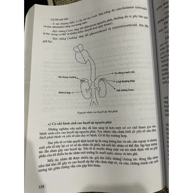 SINH LÝ BỆNH HỌC (Dùng cho dối tượng cử nhân điều dưỡng) 1029861