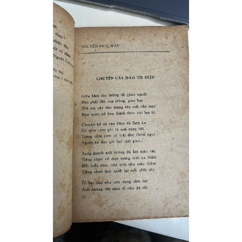 Đảng cho đôi cánh 1032211