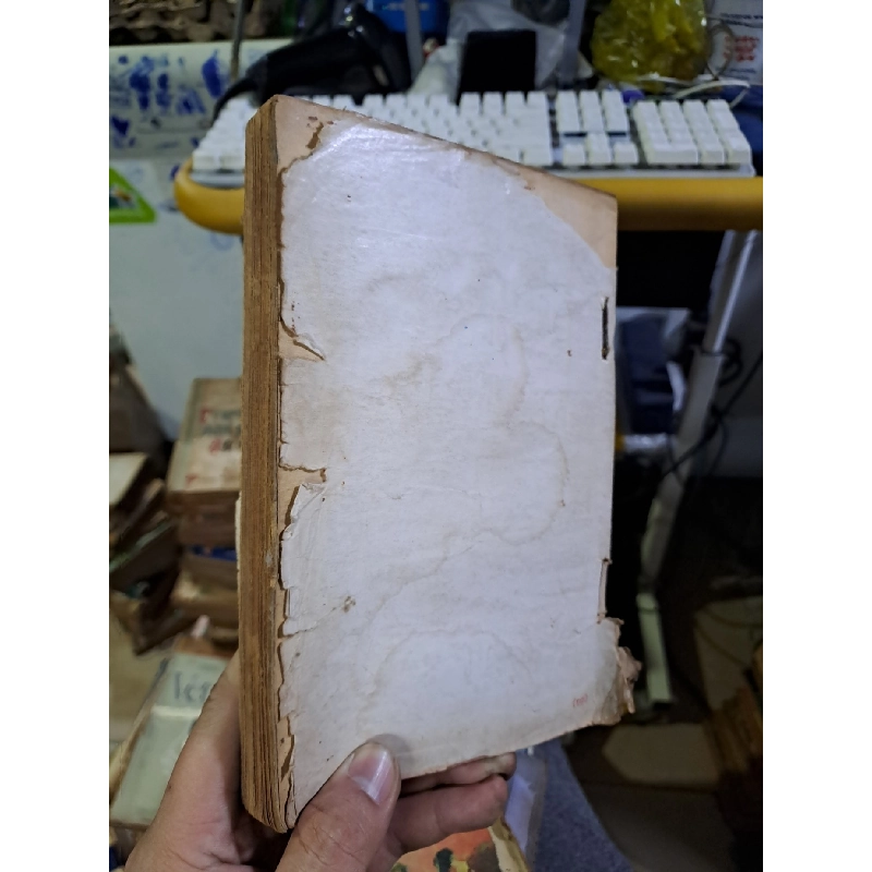 Salomon Tình yêu và ngôi báu 1989 Văn học nước ngoài HCM1709 924505