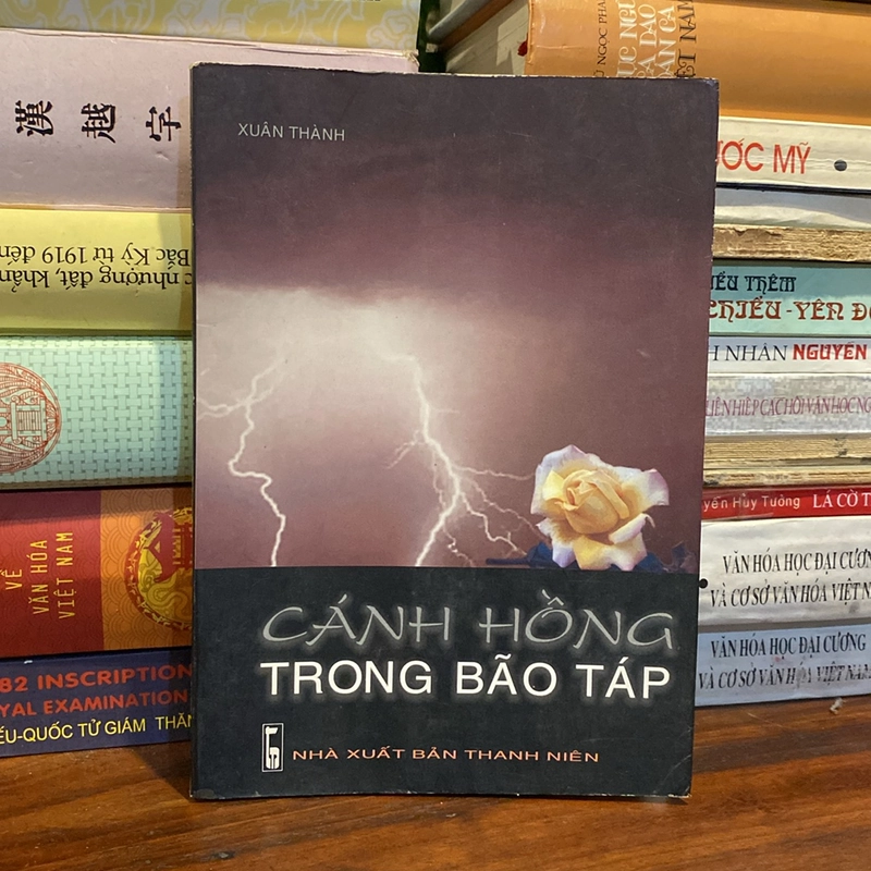 CÁNH HỒNG TRONG BÃO TÁP... (XB 2004) 470381