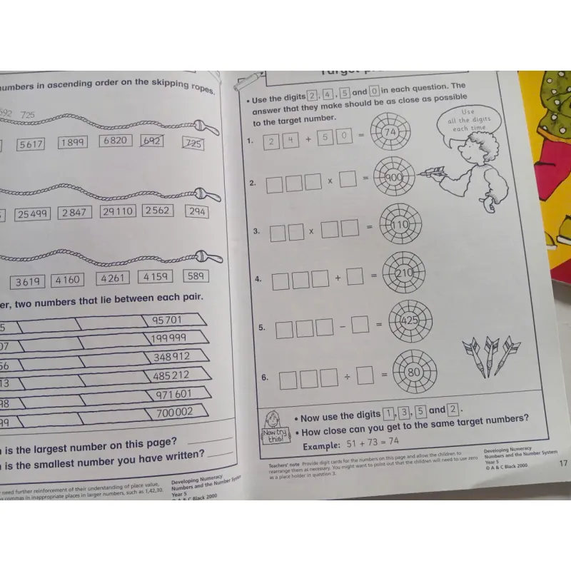 Developing Numeracy: 1008523