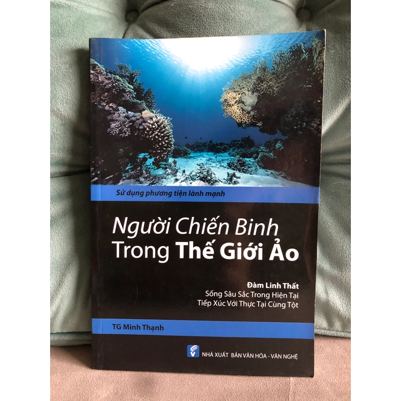 Người Chiến Binh Trong Thế Giới Ảo 387073