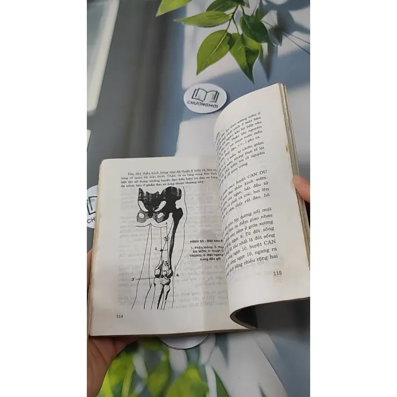 Phương Pháp Bấm Huyệt Chữa Bệnh - Phùng Lực Sinh 727233