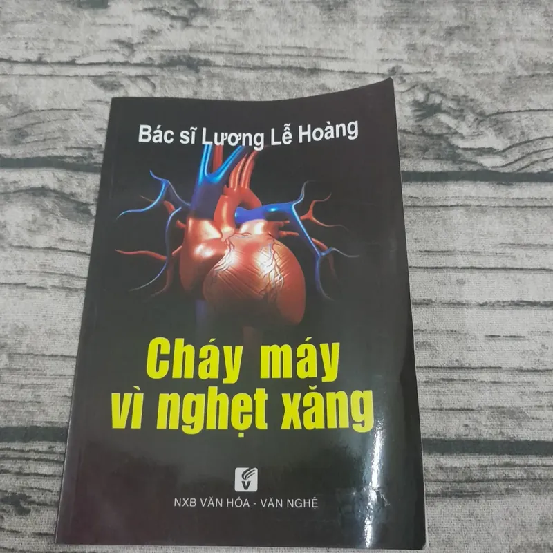 Cháy máy vì nghẹt xăng. Bác sỹ Lương Lễ Hoàng 605283