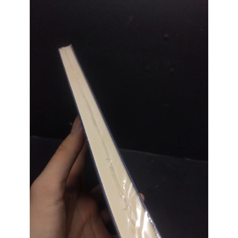 Xứ Đàng Trong lịch sử kinh tế - xã hội Việt Nam thế kỉ 17 - 18,  Li Tana, mới 100% SBMQ7-0106 356476