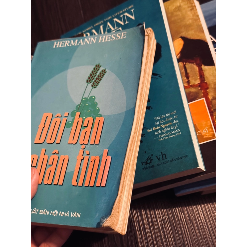 Combo 8 tác phẩm của Hermann Hesse  479277