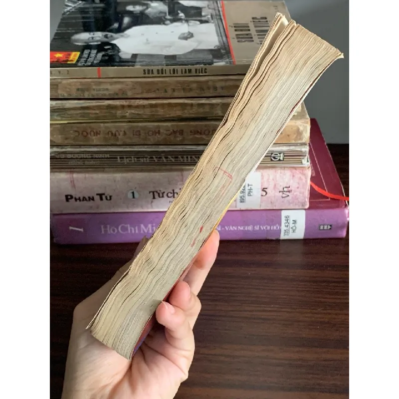 Thơ Trần Tế Xương – Tác phẩm và Lời bình – Trần Tế Xương 592277