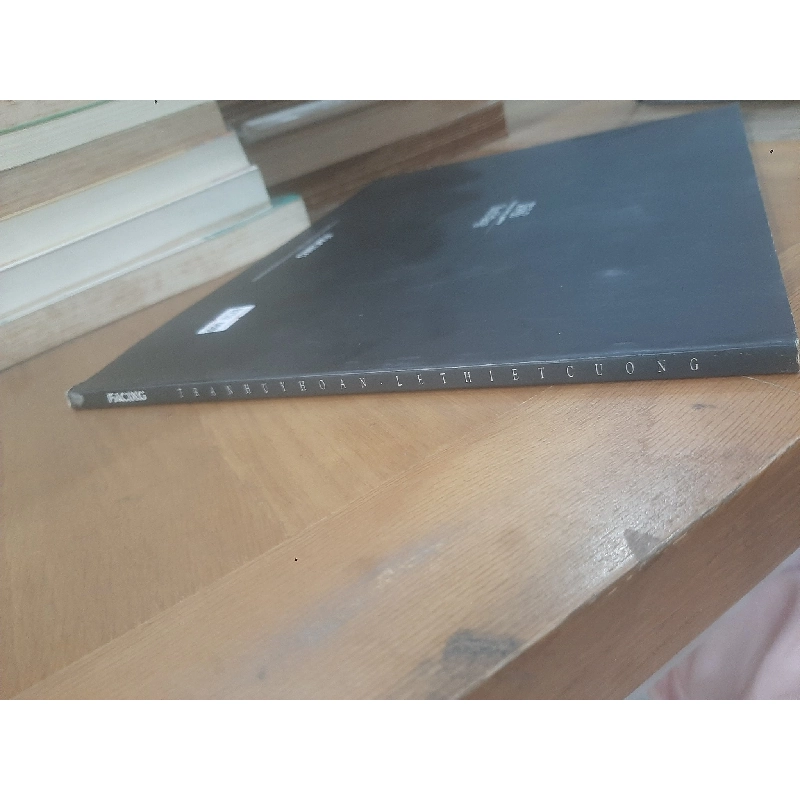 Facing - Tran Huy Hoan, Le Thiet Cuong 1030278