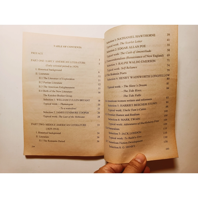 American Literature 

 455249