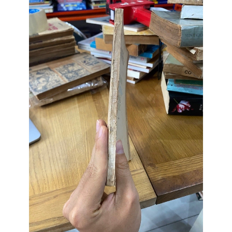 Thơm hương mái tóc - Lê Thu và cộng sự 524524