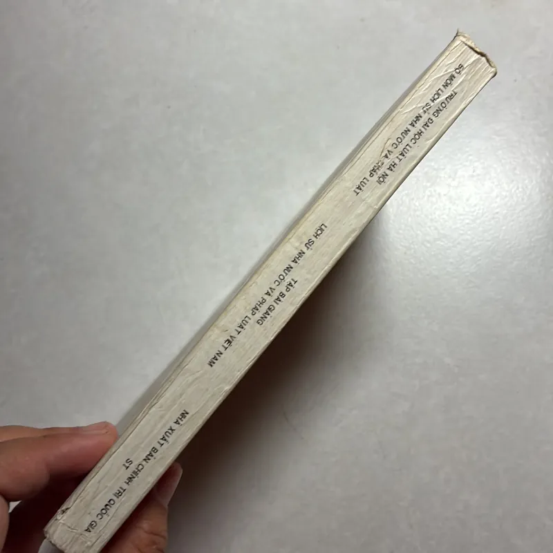 Lịch sử nhà nước và pháp luật Việt Nam - 1994s 800274