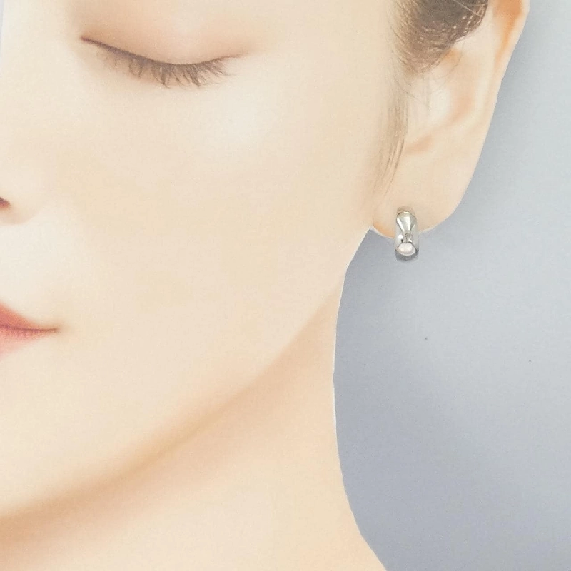 PT900 Bông tai - Hàng hiệu Chính hãng 868464