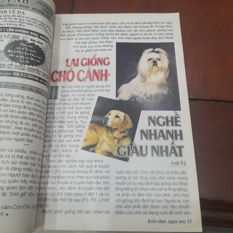 Tạp chí KIẾN THỨC NGÀY NAY số 557 ngày 01.02.2006 576296