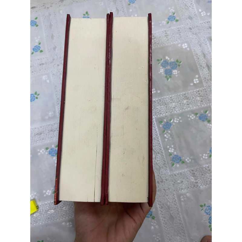 Tổng Tập Văn Học Phật Giáo Việt Nam (tập 2-3) 491745