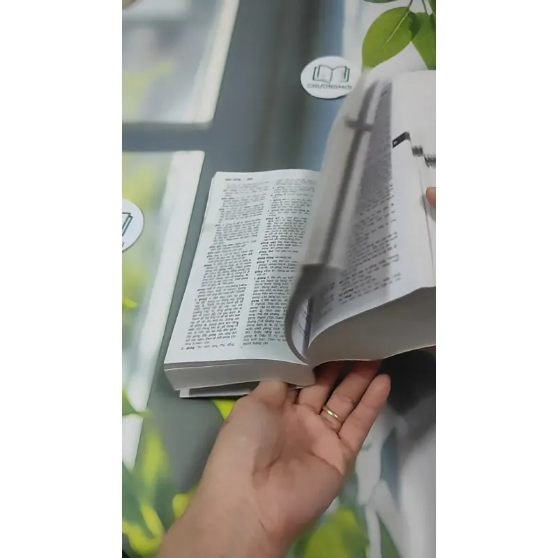 Từ Điển Tiếng Việt 727391