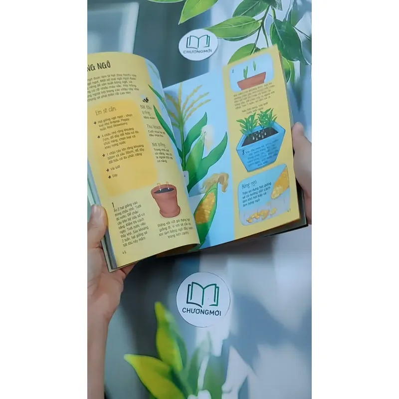 Thợ Làm Vườn Nhí 634450