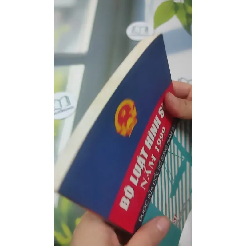 Bộ Luật Hình Sự Năm 1999  Được Sửa Đổi, Bổ Sung 2009 727364