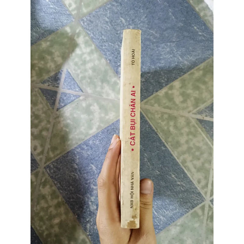 Cát bụi chân ai - Tô Hoài 726710