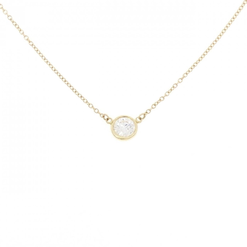 Dây chuyền Tiffany By The Yard - Hàng hiệu Authentic 843563