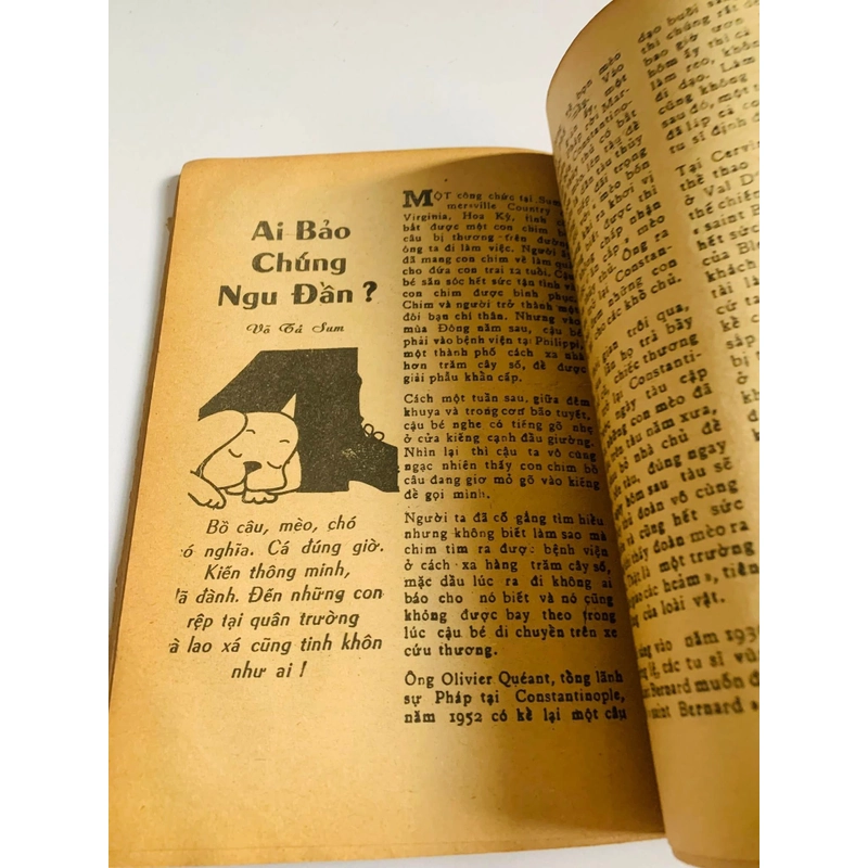BÁO THỜI NAY – ẤN PHẨM GỐC SỐ 91 (20/6/1963) 549355