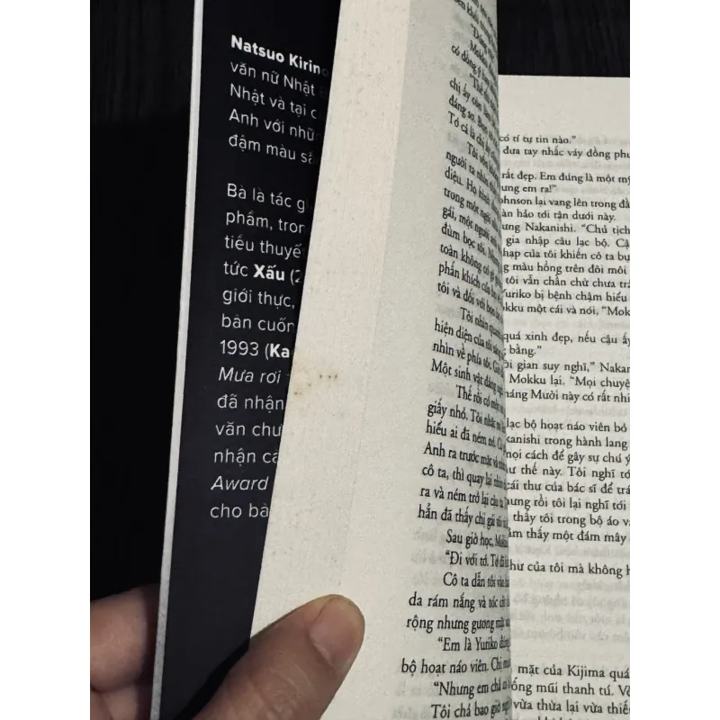 Xấu - Natsuo Kirino 745331