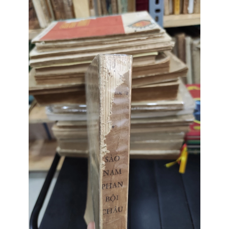 Sào Nam Phan Bội Châu 292081