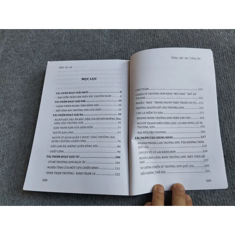 NHỮNG NGÔI SAO TRƯỜNG SƠN 568169