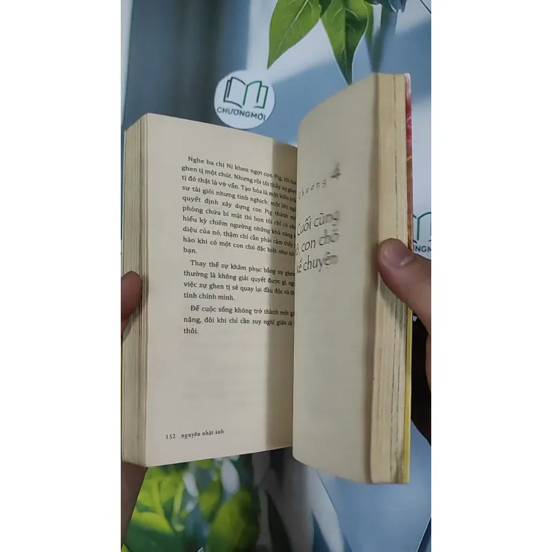 Con Chó Nhỏ Mang Giỏ Hoa Hồng - Nguyễn Nhật Ánh 798468