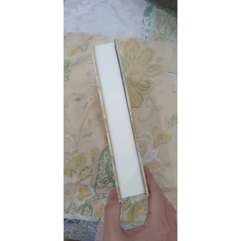 Việt Nam Thế Kỷ XVII (Bìa Cứng), Mới 90% (TrieuL) 976391