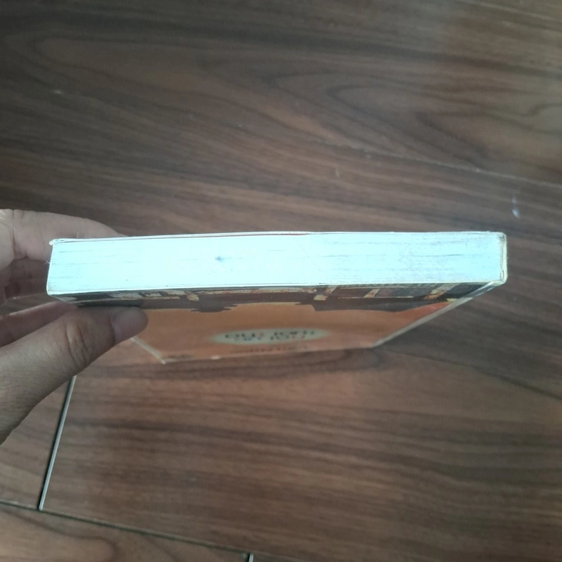 Hồi ức tuổi thơ 517206