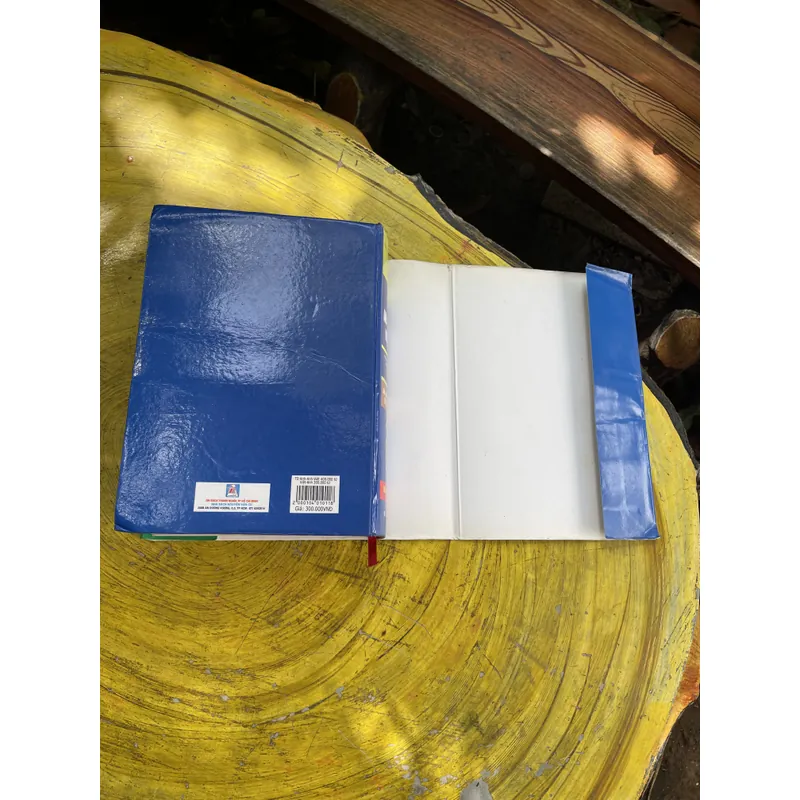 TỪ ĐIỂN ANH - ANH- VIỆT& VIỆT - ANH- KHOA HỌC XÃ HỘI VÀ NHÂN VĂN VIỆN NGÔN NGỮ HỌC 603666