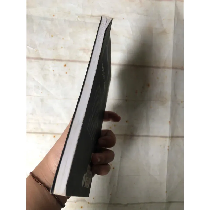 Người Đọc - Bernhard Schlink 800732