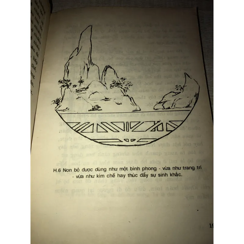 Nét phá trong non bộ  996428