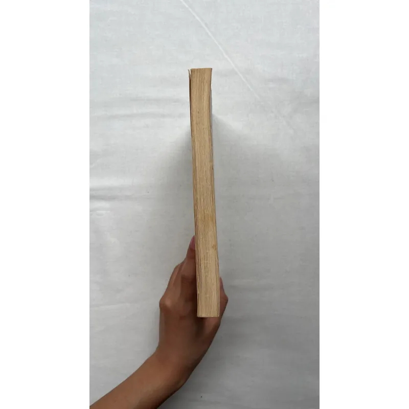 Boomerang: Travels in the New Third World - Michael Lewis 795395