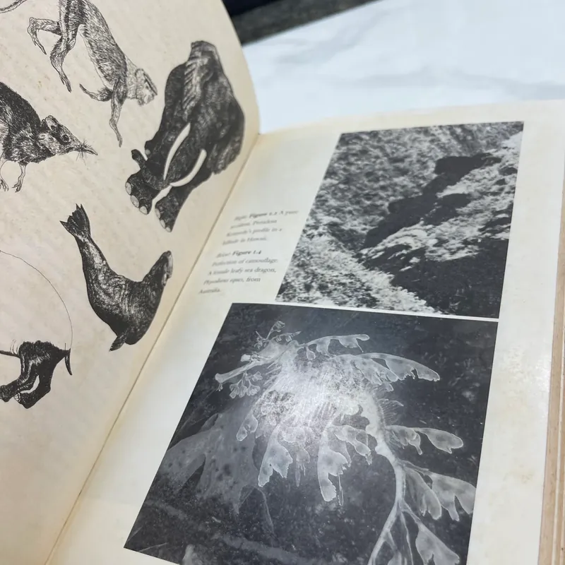 Climbing mount improbable Richard Dawkins 562127