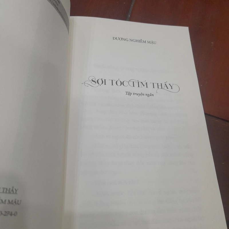Dương Nghiễm Mậu - SỢI TÓC TÌM THẤY 527337