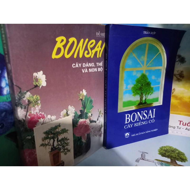 bonsai cây cảnh 452198