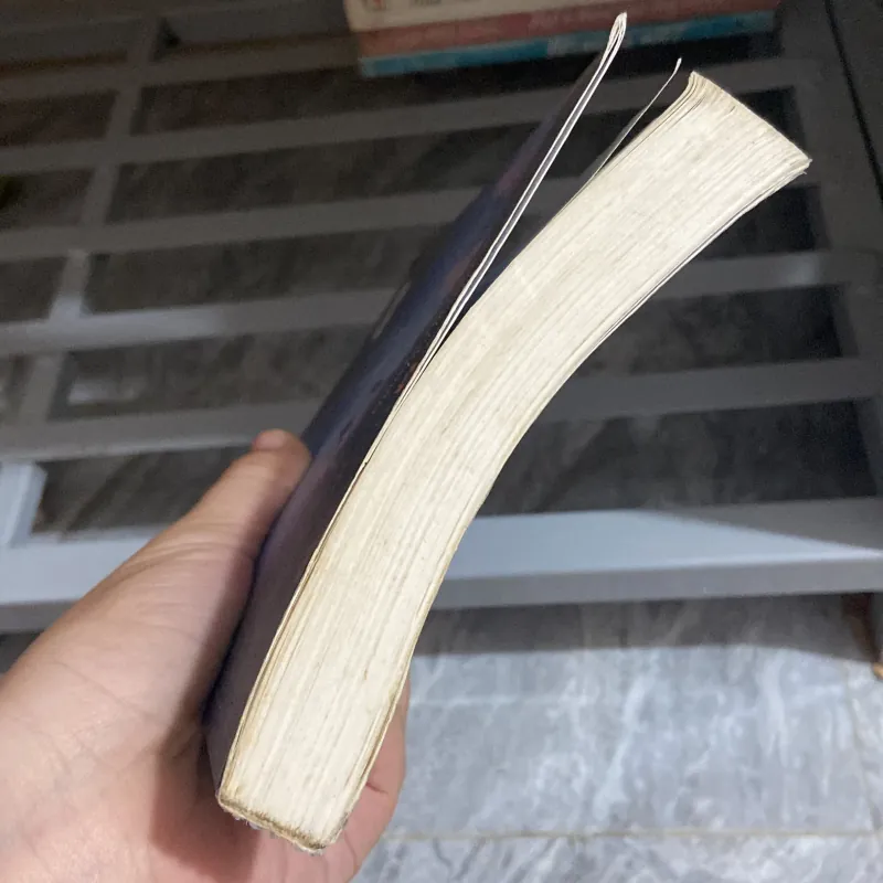 Nụ hôn của Sói - Diệp Lạc Vô Tâm 957816