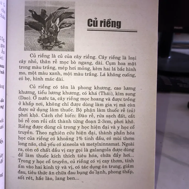 Chữa bệnh từ cây cỏ vườn nhà và bài thuốc gia truyền - Hải Quỳnh 1005367