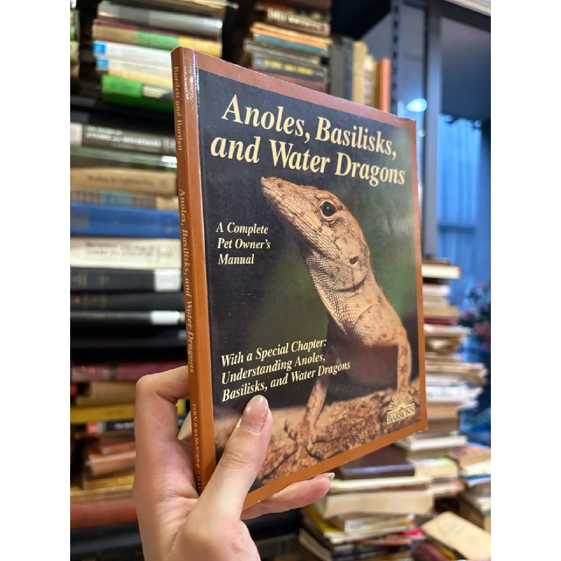 Anoles , Basilisks , and water dragons - Bartlett and Bartlett 1003465